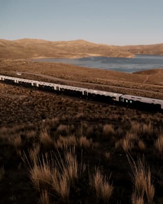 High angle view of the white and maroon carriages as the Andean Explorer files through the russet grasses by Lake Saracocha.