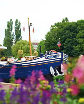 View from among pink and purple flowers of the navy blue bow of a river barge