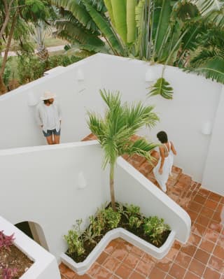 A woman in a white dress and a man in a hat climb a terracotta staircase in an internal courtyard overlooked by banana trees.