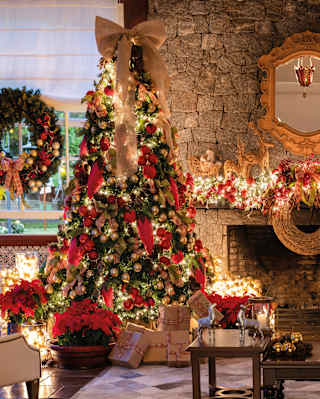 Family Escape Brazil, local animals, activity