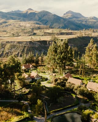 View over Las Casitas, with terracotta-roofed residences nestled among tall trees and gardens, with the canyon rising behind.