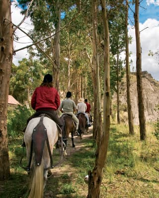 Guests take a guided horse riding adventure on a path through trees near the spectacular Colca Canyon