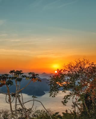 View of sunset from Rio's iconic Sugarloaf mountain, through lush foliage