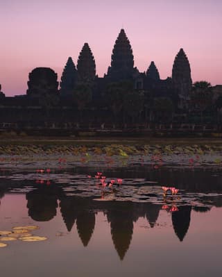 Cambodia's iconic temple, Angkor Wat, is silhouetted against a lilac sundown sky and reflected in the lily-filled moat below.