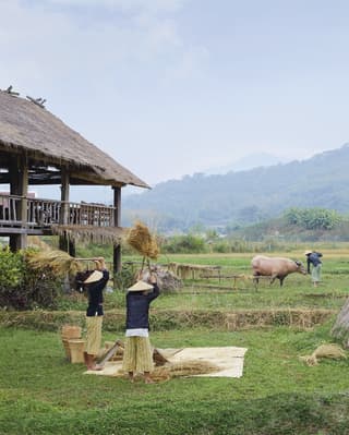 Rice farmers in Laos