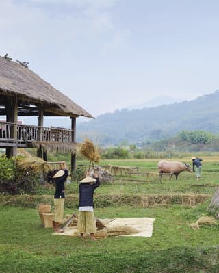 Farmers collecting straw on a rural Laotian farm