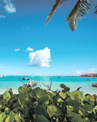 prickly pear sailing experience in anguilla
