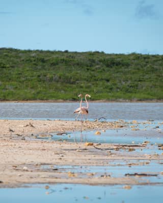 View of Sandy Ground, Anguilla