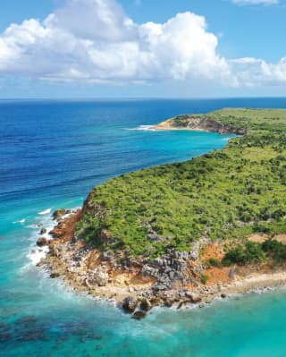 caribbean island tintamarre visit