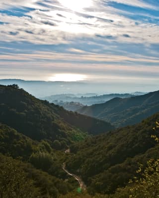Sunrise view through a valley in the Santa Ynez Mountains behind Santa Barbara as mist rises through the dense foliage.