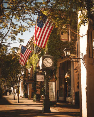 Leafy street lined with boutiques flying the American flag