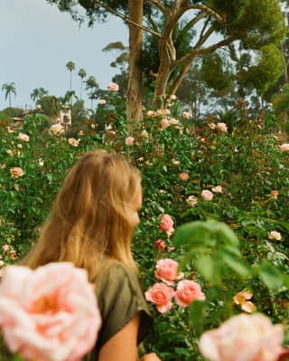 Woman wandering through The Mission Rose Garden