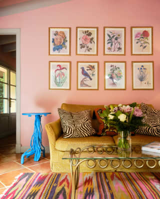 Eight flora and fauna prints adorn the wall above a bronze sofa with print cushions, seen over a glass table on a bright rug.