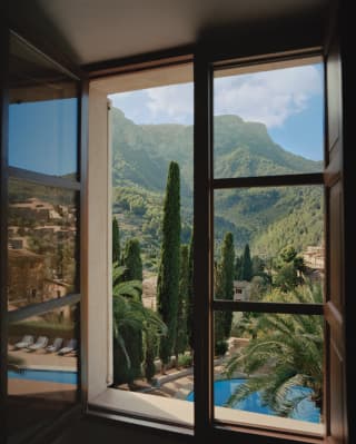 A window's view is like a landscape painting with green mountains touching the sky while palm fronds frame the foreground
