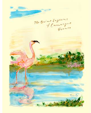 A watercolour painting of a pink flamingo standing in shallow water, with grass and flowers in the background. Handwritten text above reads, The Baine lagoons of Camargue, France.