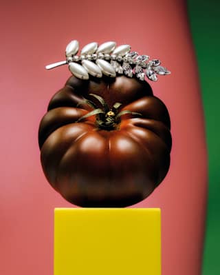 In an artistic composition, a maroon beef tomato akin to a Black Krim sits on a yellow plinth, adorned with a silver laurel.