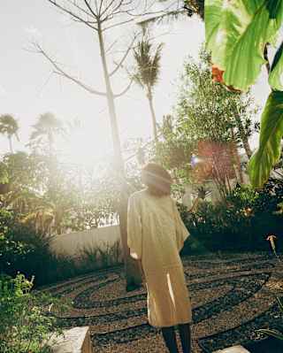 Angled image of a guest in the spa courtyard looking up at the sky as sunrays create a haze through the lush foliage.