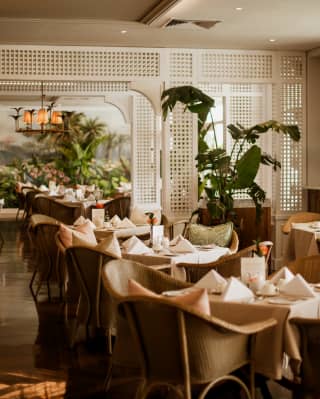 Looking between rows of wicker dining tables to a botanical end-wall mural, framed by white trellis partitions, in Oasis.