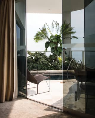 View through glass doors to a plunge pool on a garden-filled balcony