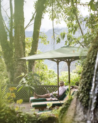 Guests lounging on sunbeams under green parasols in a Peruvian garden
