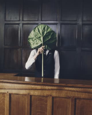 A member of staff stands behind a wooden bar holding a large young rhubarb leaf by the stem, which covers his face.