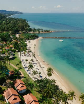 Aerial view of Napasai's palm-fringed coast, with green lawns bordering a white sand beach that meets an aquamarine sea.