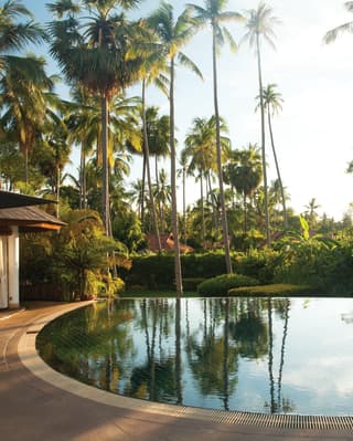 A curved infinity pool looks out across tropical gardens and towering palm trees