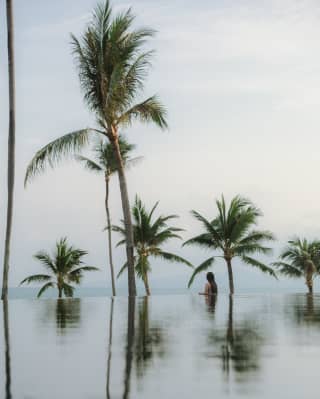 A woman stands at the far edge of the infinity pool, which reflects the garden's palm trees before melting into a dusky view.