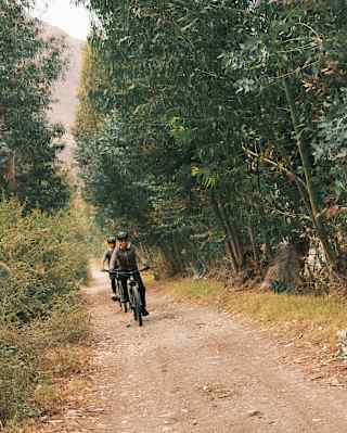 Angled image of two cyclists in black helmets as they cycle towards the camera on a track between wild hedgerows and forest.