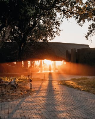 Silhouette of a lady against fiery sun rays at dawn at the gate of safari lodge