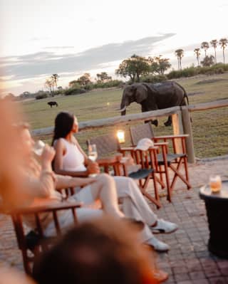 Guests sip evening drinks on the terrace of Eagle Island Lodge, watching the plains, where a buffalo and elephant pass by.