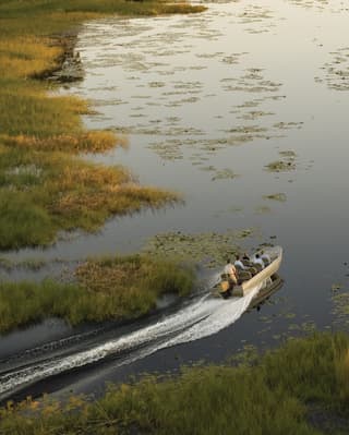 Aerial view of a motorised safari boat zipping across a river delta