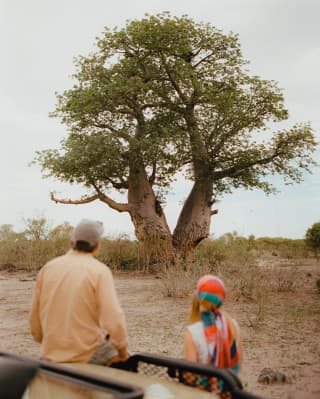 A man in a yellow top and cap and a woman with a bright head scarf lean on a jeep, gazing at a baobab tree, seen from behind.