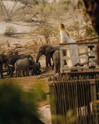 A woman in a white dress, in soft focus, leans on the rails of her deck, gazing at a family of elephants in the river below.