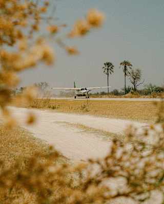 A single-engine Cessna two-zero-eight Caravan plane sits on a dry dirt runway, viewed through the branches of trees.