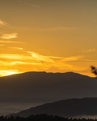 Passeggiata all'alba Firenze