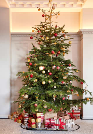 Christmas tree in the Cadogan hotel lobby
