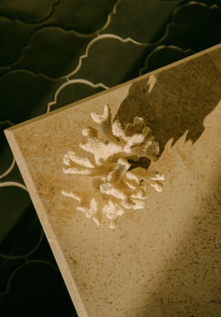 A piece of textured, sun-bleached staghorn coral rests on the corner of a marble table, casting shadow, seen from above.