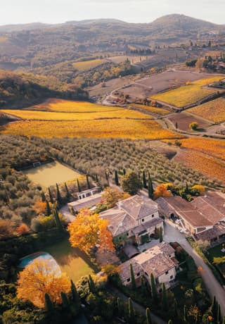 areal shot of autumn vineyard 