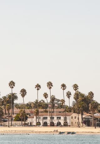 View of a sandy beach lined with palm trees from across the water