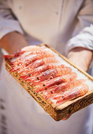 Uno chef tiene una fila di gamberetti rosa disposti su un letto di ghiaccio in un contenitore