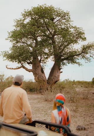 A man in a yellow top and cap and a woman with a bright head scarf lean on a jeep, gazing at a baobab tree, seen from behind.