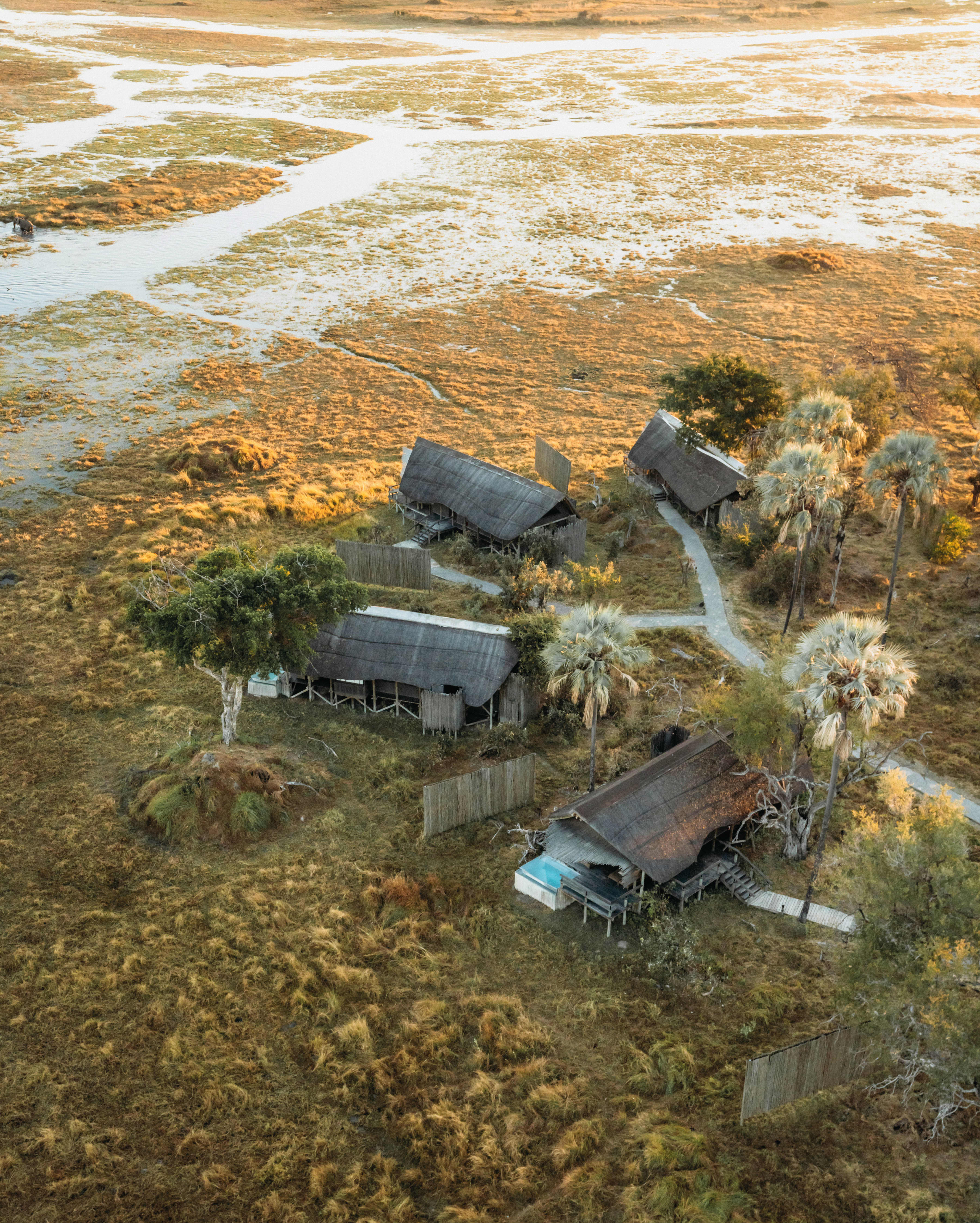 Eagle Island Lodge, A Belmond Safari, Botswana in Botswana