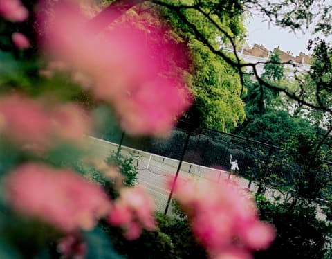 Angled image of a man playing tennis on Cadogan's court, spied from afar through the pink blooms of a dog rose in soft-focus.