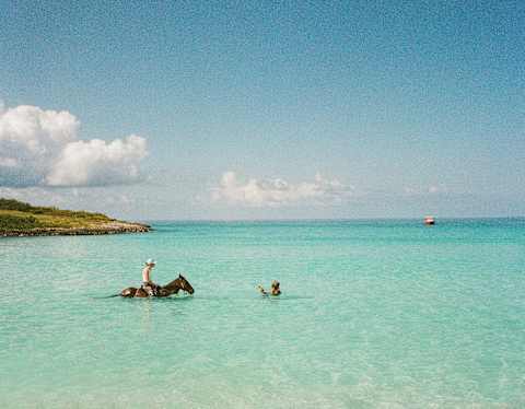 A figure rides a horse through turquoise waters towards a swimmer just in front, in an image taken from the beach.