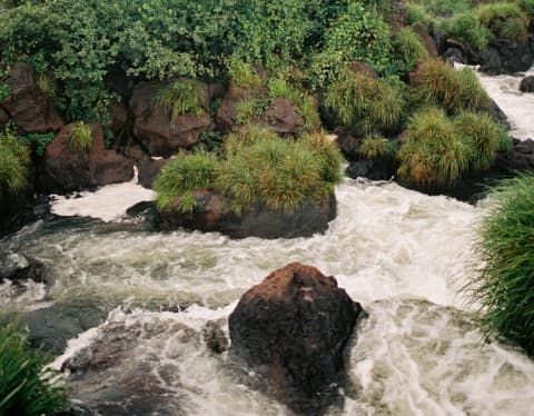 Water winds its way through a course of mossy rocks and foliage-covered boulders it heads towards the crest of Iguassu Falls.