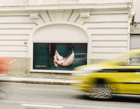 A poster of four dolphins fills one of Copacabana Palace's large windows, as part of the Belmond and Parley eco campaign.