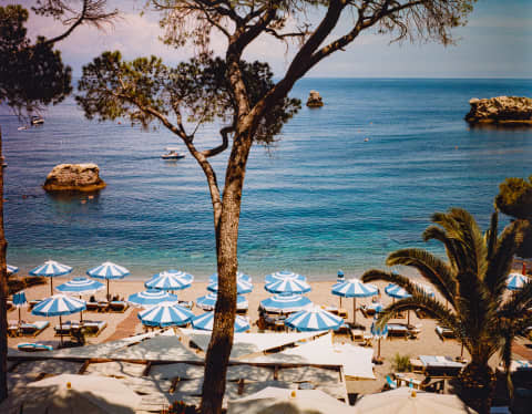 High angle view of a cluster of blue and white parasols along the pebbled edge of the sapphire sea, divided by a tall pine.