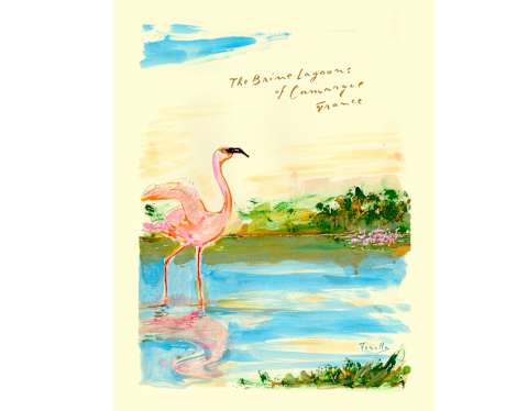 A watercolour painting of a pink flamingo standing in shallow water, with grass and flowers in the background. Handwritten text above reads, The Baine lagoons of Camargue, France.