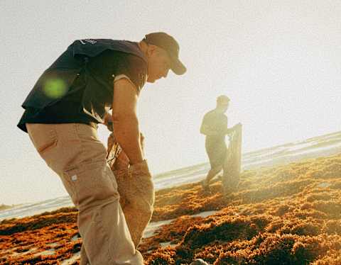 Angled image of two men with bags searching through washed-up seaweed on as they participate in a beach clean-up.